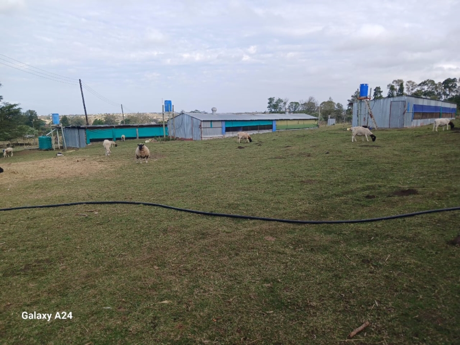 5 Bedroom Property for Sale in Macleantown Eastern Cape